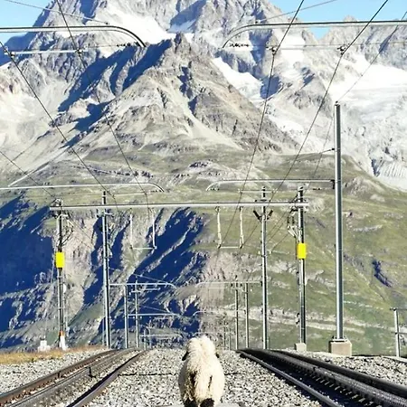 3100 Kulmhotel Gornergrat 3*